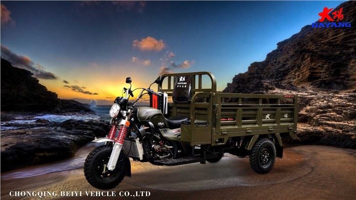 Cheap Petrol 200CC Cargo Tricycle