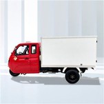 Express Food Delivery Cargo Triciclo