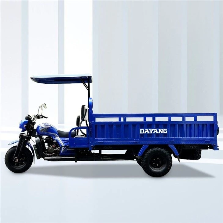 350cc Three-wheel Cargo Trike Motorcycle