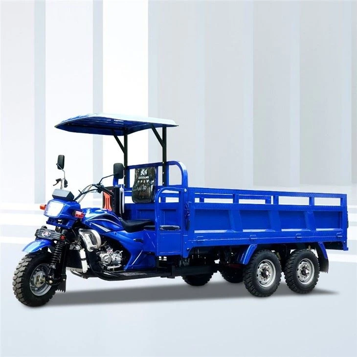 Triciclo Motorizado De Cargo