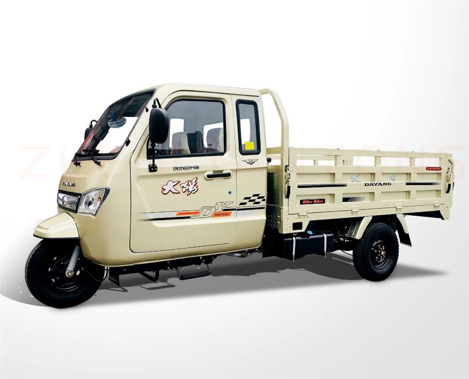 3 Wheel Electric Cargo Tricycle