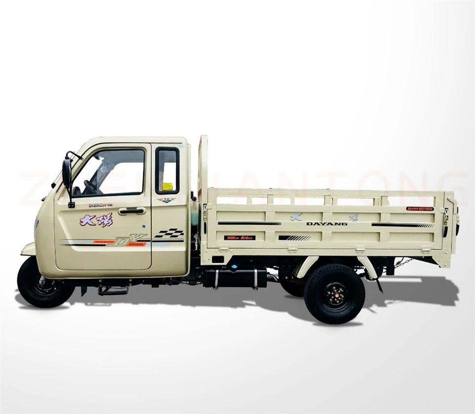 3 Wheel Electric Cargo Tricycle
