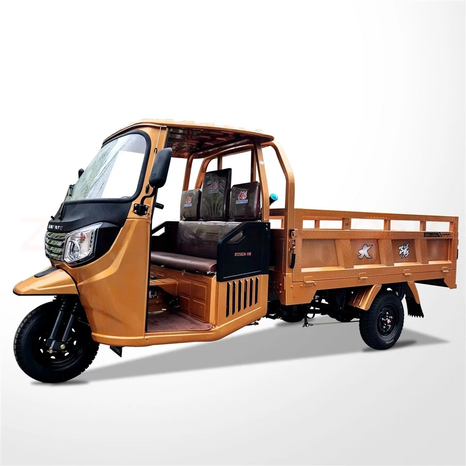 Tuk Tuk elettrici di buona qualità e di vendita calda